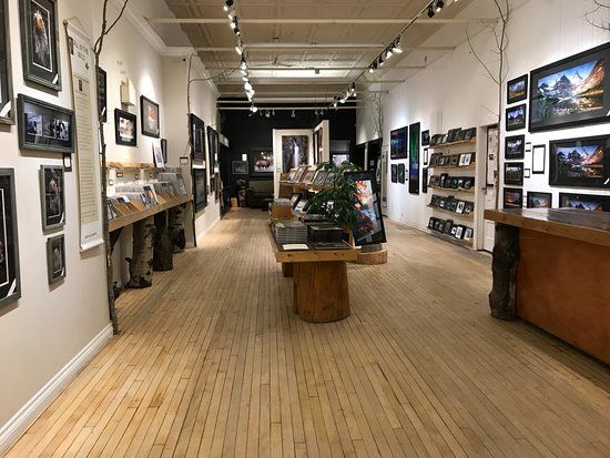 All In The Wild Gallery